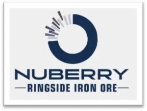 Nubbery-Logo- (1)